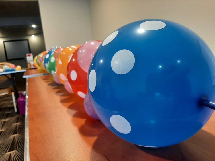Kurs Dekoracji Balonowych - Akademia Animatora
