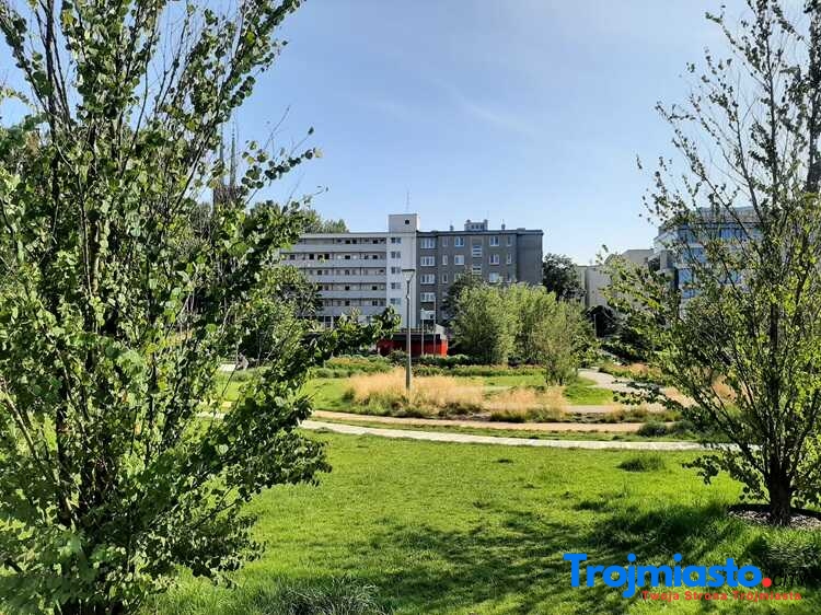 Gdynia Spacery za Jeden Uśmiech