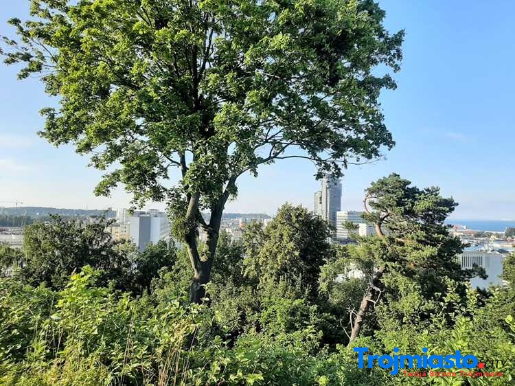 Gdynia Spacery za Jeden Uśmiech