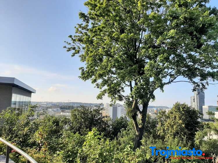 Gdynia Spacery za Jeden Uśmiech