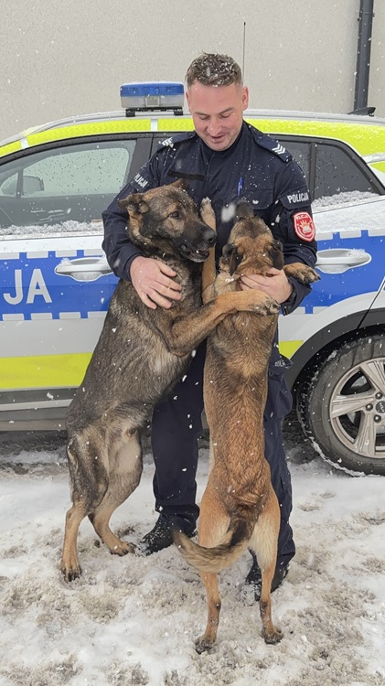 Policjant przytula dwa psy służbowe, które stoją na tylnych łapach, w tle radiowóz i śnieg.