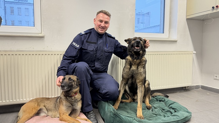 Policjant w pomieszczeniu z dwoma psami służbowymi, jeden leży na legowisku, drugi siedzi obok.